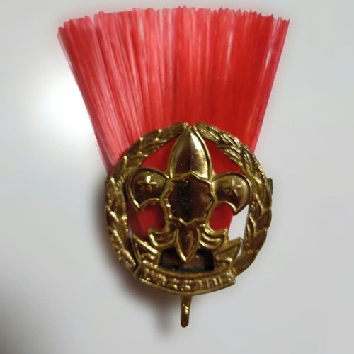Boy scout leader cap - boy, red