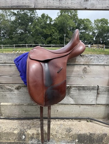 Bates isabell werth dressage - isabell,