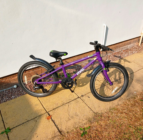 Frog 20in kids bike - kids, purple