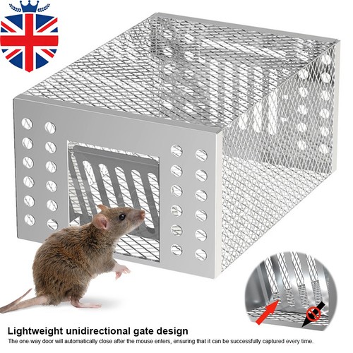 Humane mouse trap - mouse, mice