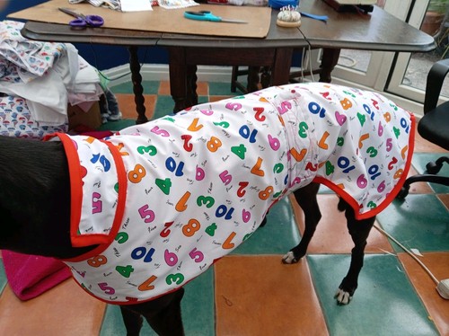 Handmade greyhound fun summer - greyhound,