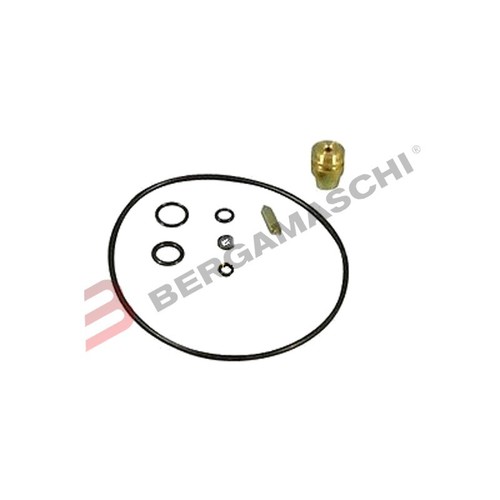 Carburetor revision kit - carburetor,