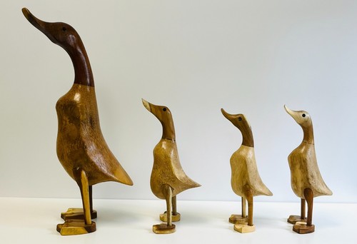 Wooden duck garden - duck,