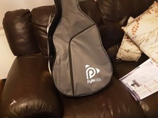 Semi Acoustic Guitar  New With