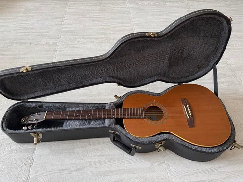 Seagull acoustic guitar - guitar, with