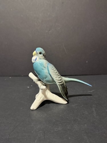 Karl ens polychrome - karl,