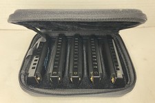 Roadhouse Blues 5 Piece Harmonica Set