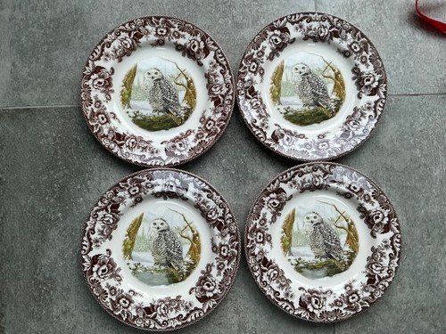 Spode woodland snowy owl - spode,