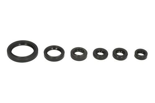 Engine seals complete fits