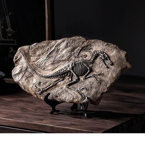 Genuine sinosauropteryx fossil - genuine,