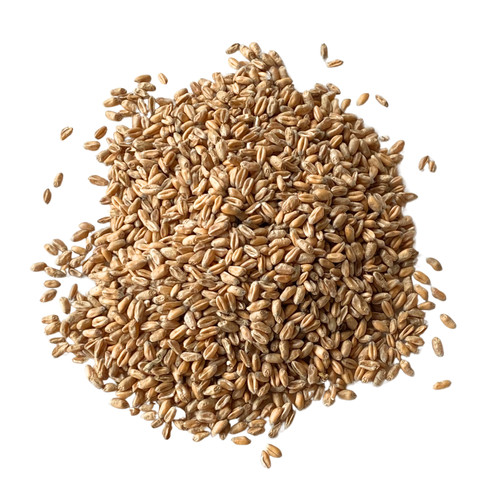 Milling wheat for wholemeal - wheat,