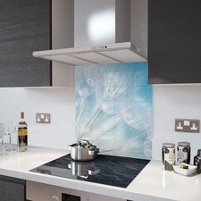 Glass Splashbacks Dandelion
