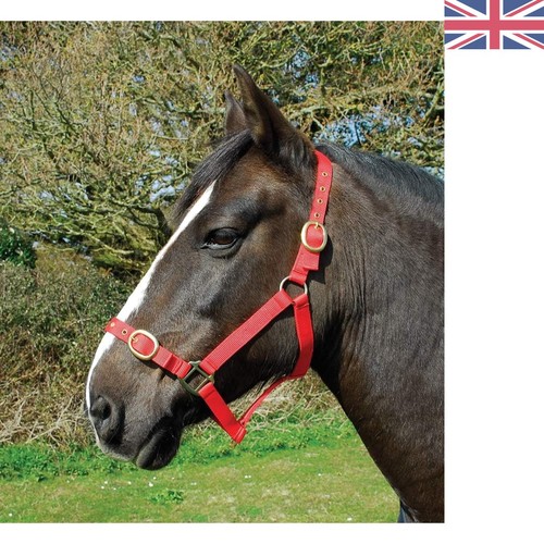Nylon horse headcollar - nylon,
