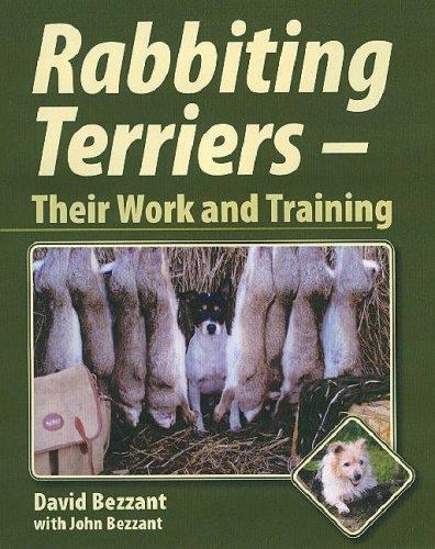 Rabbiting terriers their - terriers, :