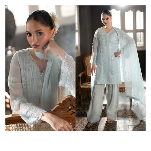 Pakistani designer embroiderd - designer,