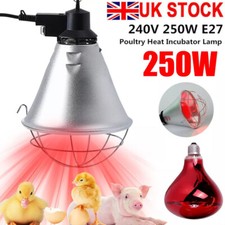 Infrared Heat Lamp Poultry