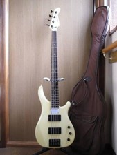 Fernandes Electric Bass