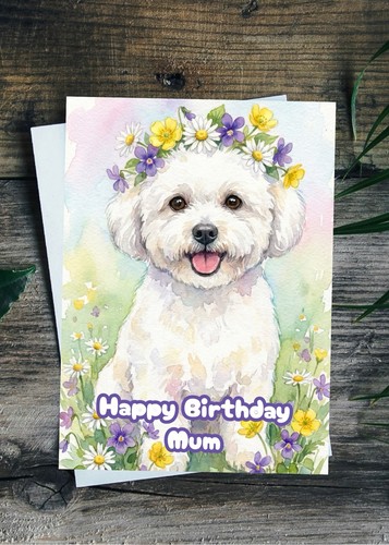 Bichon frise birthday - frise, card