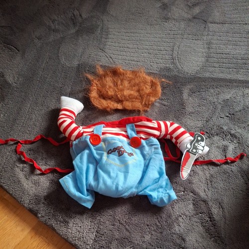 Chucky doll small dog fancy - doll,