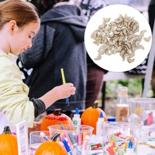 100 Pcs Craft Embellishments