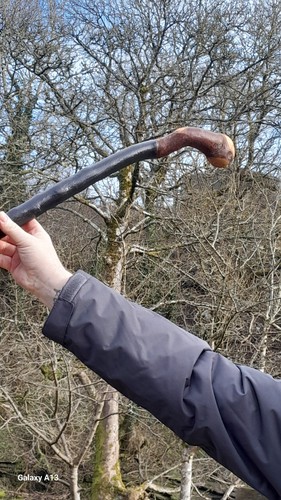 Blackthorn walking - blackthorn,