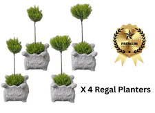 Set of 4 Concrete Stone Regal Garden Planters Weather-resistant Outdoor Pots