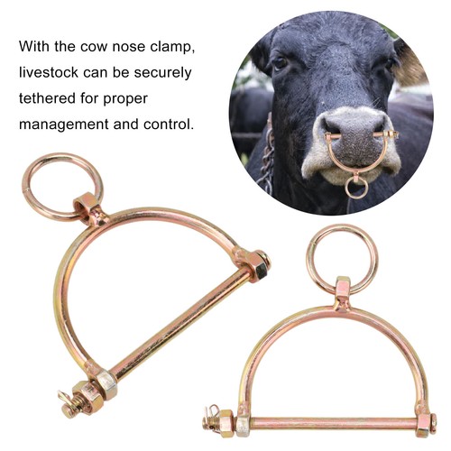 Cow nose ring stainless - cow,
