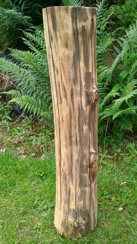 Tree stump log - table, seasoned