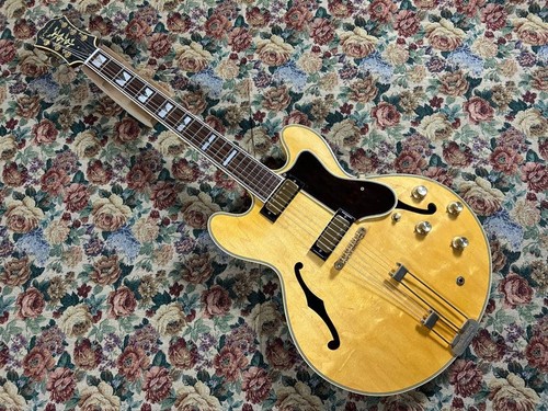 Epiphone usa john - lee, hooker