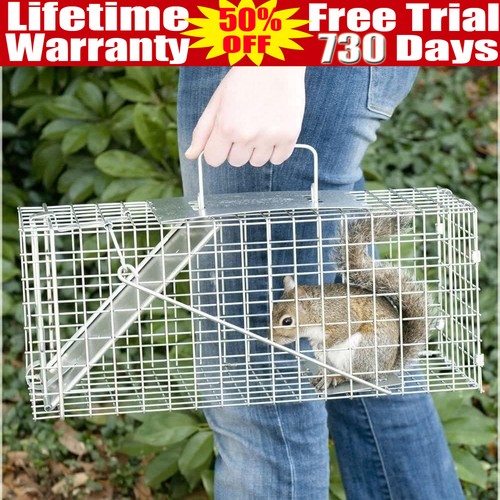 Heavy duty squirrel - duty,