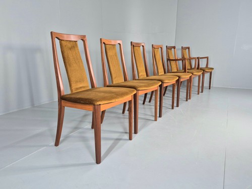 Vintage plan dining chairs - dining,