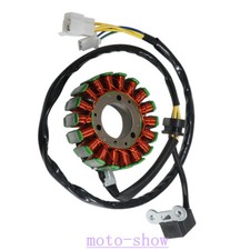 Alternator Stator Coil for PGO