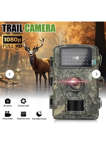 Wildlife trail camera - trail,