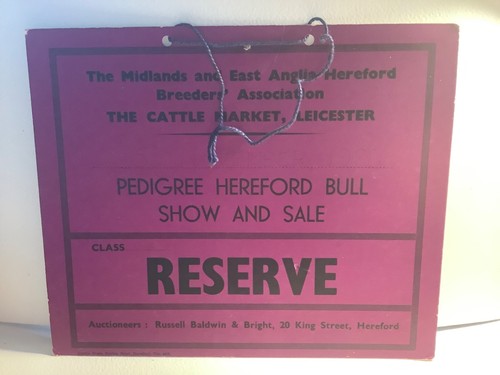 1960 pedigree hereford - c.,