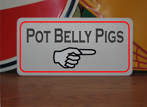 Pot belly pig - pot, metal