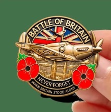 Spitfire Poppy Badge, 80th