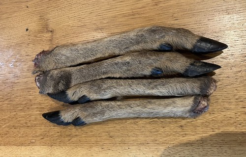 Venison legs fallow deer - 4, deer-