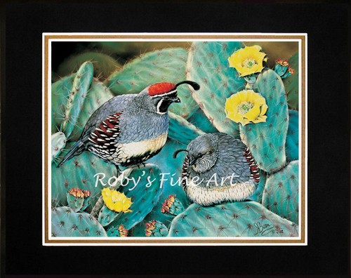 Matted gambel quail art - quail,