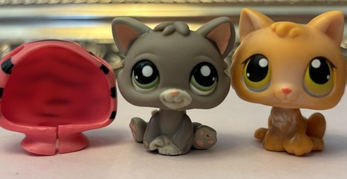 Hasbro lps littlest pet - hasbro, shop