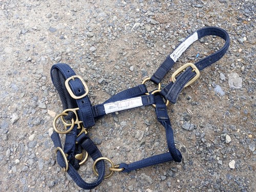Monty roberts dually - monty,