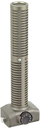 Zoom stereo microphone - microphone, capsule