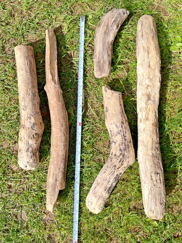Medium welsh driftwood - medium,
