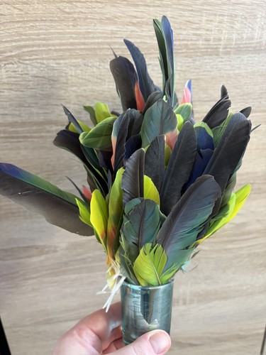 Amazon green naturally moulted - green,