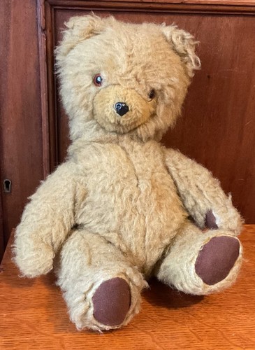 1970 pedigree teddy bear - 1970's,