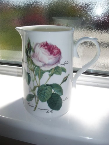 Roy kirkham redoute roses - redoute,