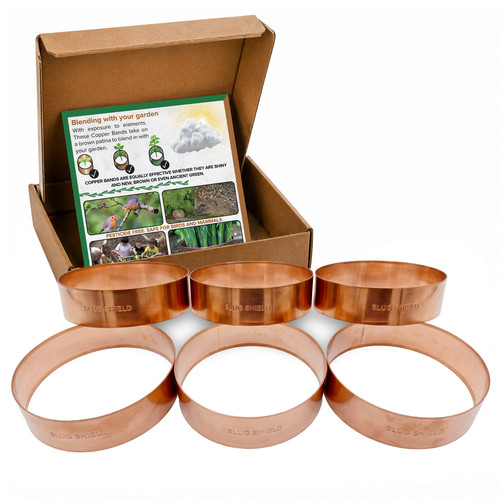 Copper slug snail barrier - slug,