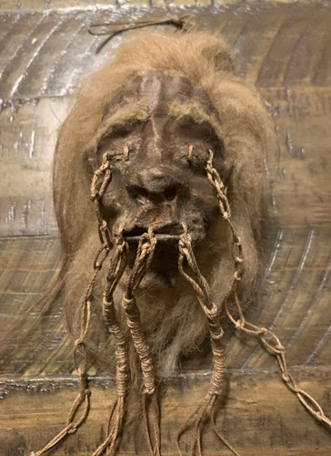 Vintage shrunken head oddity - shrunken,