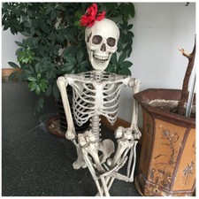 Halloween Poseable Skeleton Full Life Size Human Skeleton Decoration Prop