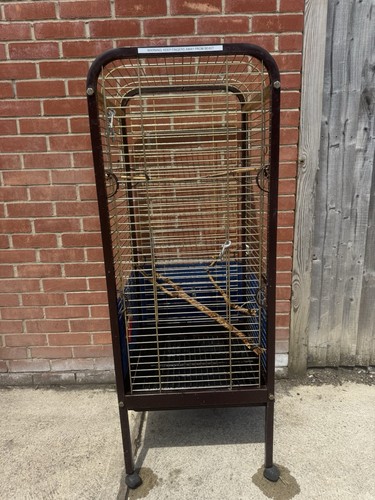 Bird cage collection - bird,
