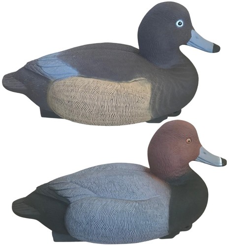 Redhead duck decoy - duck, floating